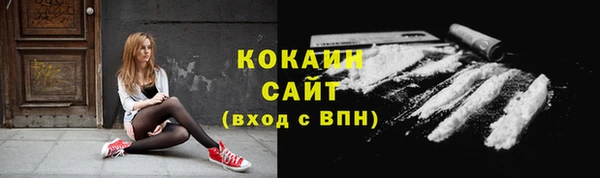 шишки Беломорск