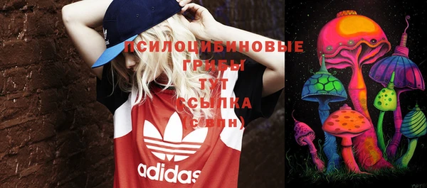 прущие крисы Белокуриха