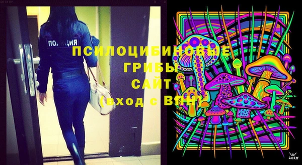 прущие крисы Белокуриха