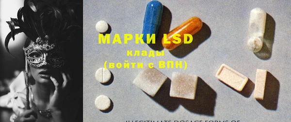 шишки Беломорск