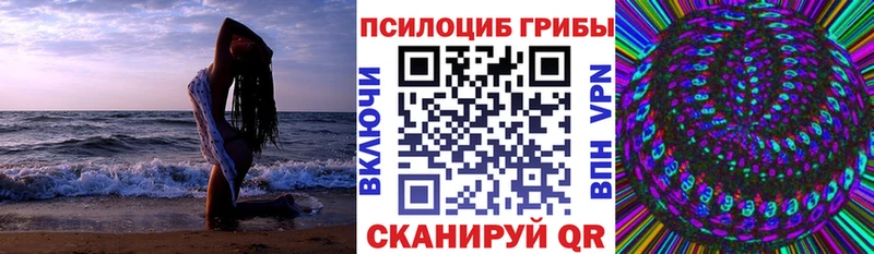 Галлюциногенные грибы мицелий  где купить наркотик  Купино 